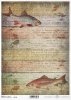 decoupage peces de papel*decoupage paper fish*Decoupage Papier Fisch